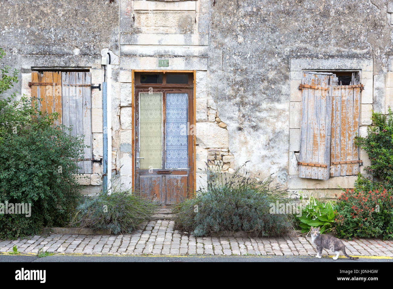 Gato de arquitectura antigua casa con persianas en coulon en el Marais poitrevin región un gran sitio de Francia Foto de stock