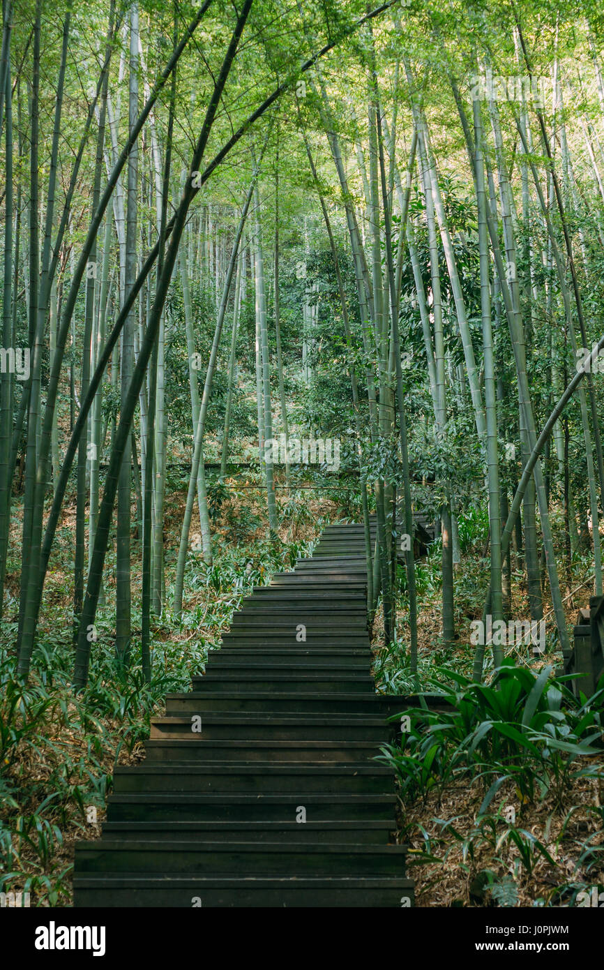 Escalera Bambú Natural