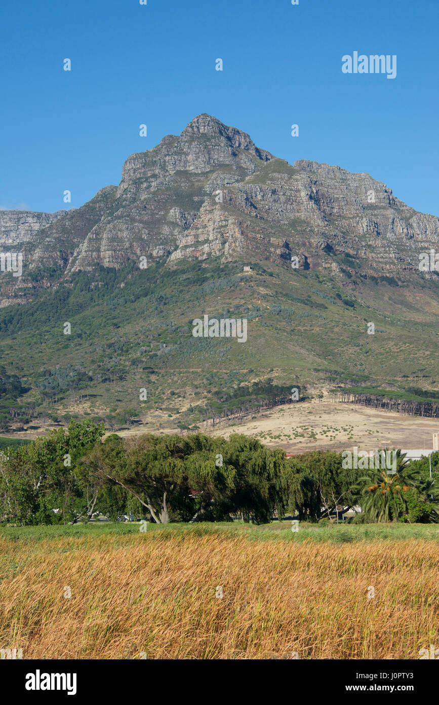 La montaña de la mesa desde Mowbray Cape Town South Africa Foto de stock