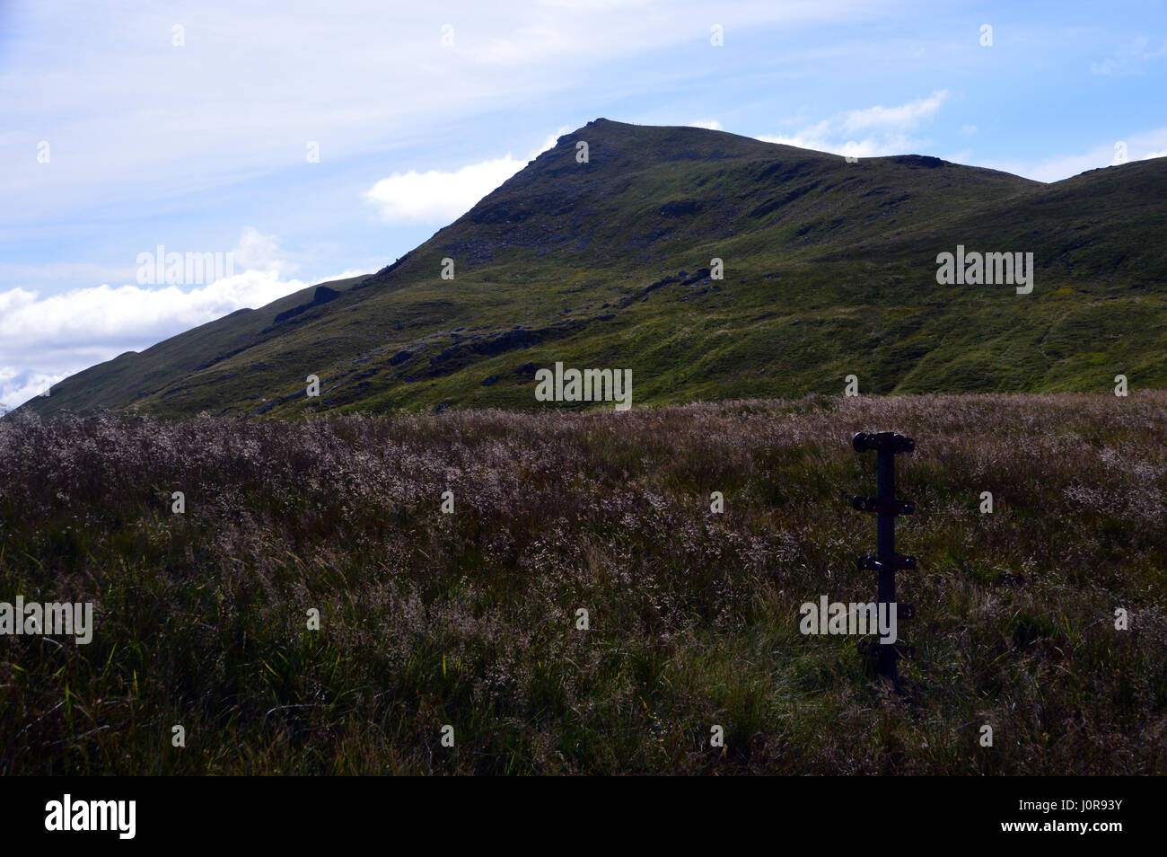 La Cordillera del Norte de la Montaña Escocesa Corbett Ben Ledi desde cerca de Loch nan Corp en el Parque Nacional Trossachs, Tierras Altas Escocesas. Foto de stock