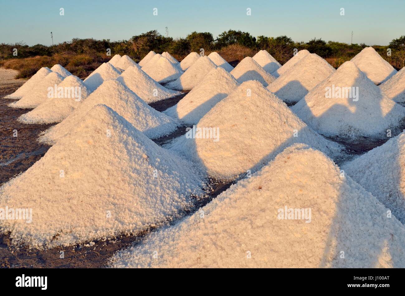 Conos de sal levantada, sal cruda, salina en el Cujo, Yukatan, México Foto de stock