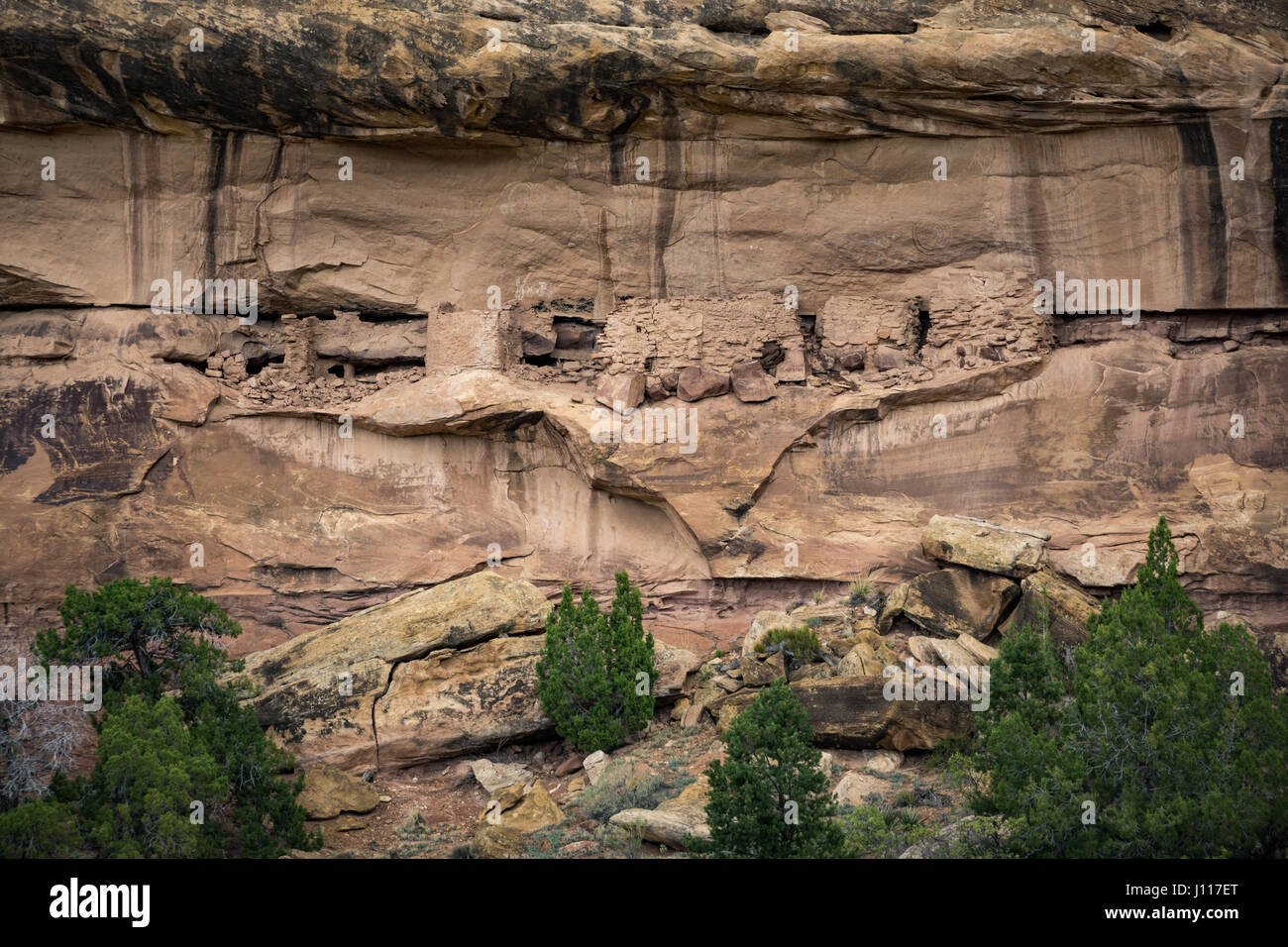 Los Indios Americanos Nativos de ruina, Salt Creek, agujas District, el Parque Nacional Canyonlands, en Utah, EE.UU.. Foto de stock