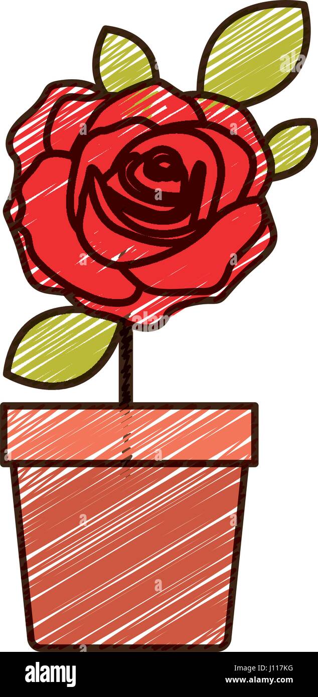 Dibujo a Lápiz de color de flor rosa roja con hojas y tallo en maceta  Imagen Vector de stock - Alamy