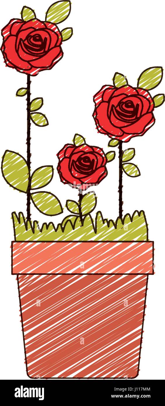 Dibujo a Lápiz de color de rosas rojas flores plantadas con hojas en maceta  Imagen Vector de stock - Alamy