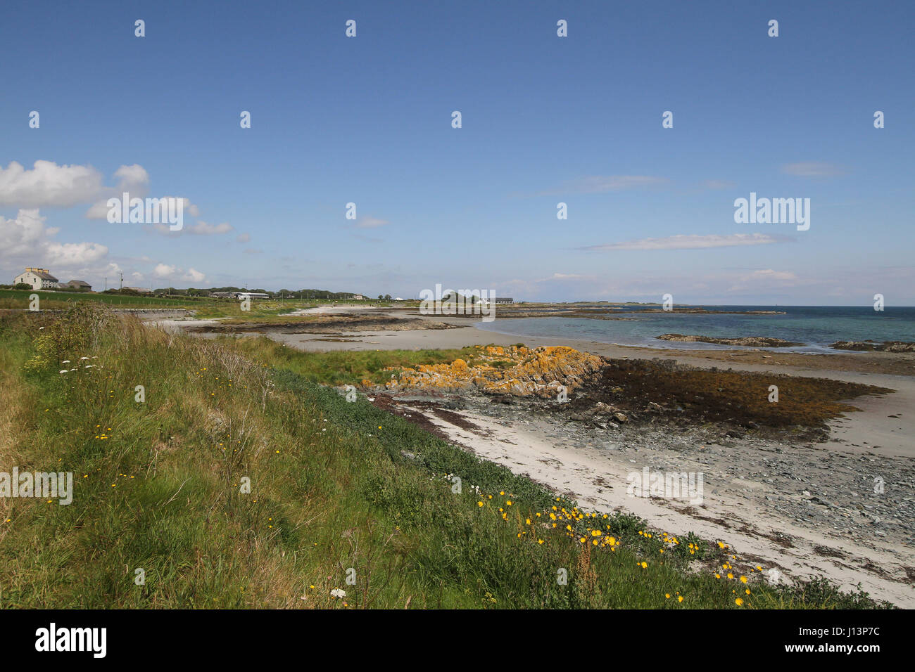 Playa de arena de la costa en el Condado de Down, Irlanda del Norte. La playa es de AT Kearney, cerca de la aldea de Portaferry en el Ards Peninsula, Condado de Down. Foto de stock