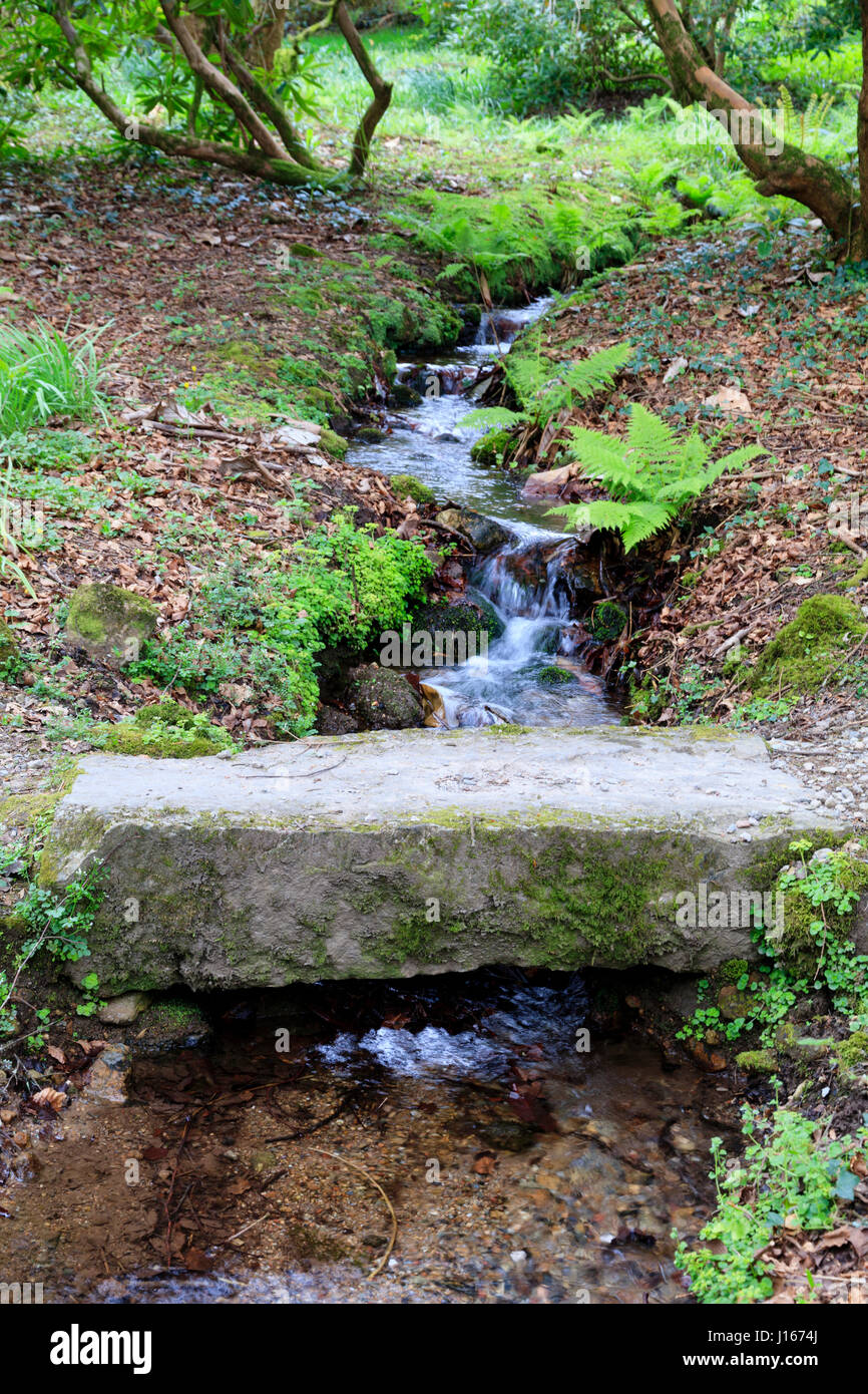 Losa de piedra cubiertas de musgo proporciona un puente sobre un arroyo de Devon Foto de stock