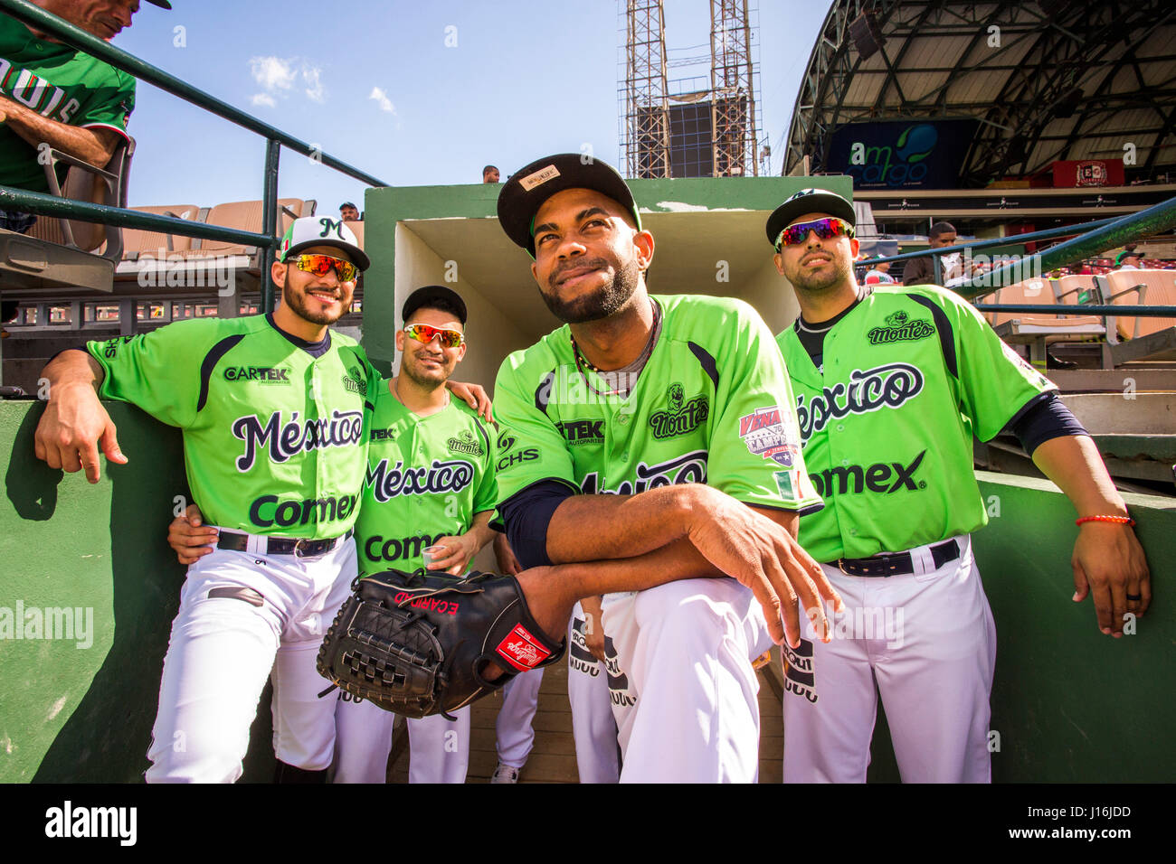 Cuatro jugadores de béisbol verde brillante Jerseys Stand en el Túnel de  entrada a un campo de béisbol con asientos del estadio en segundo plano  Fotografía de stock - Alamy