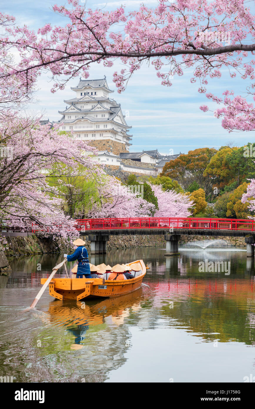 El Castillo de Himeji con hermosa flor de cerezo en primavera en la provincia de Hyogo, cerca de Osaka, Japón. El Castillo de Himeji es famoso mirador de Flor de Cerezo Osaka, Ja Foto de stock