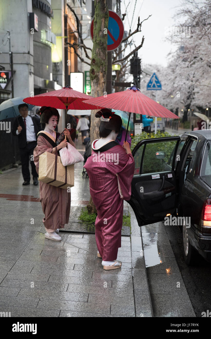 Geisha con paraguas tradicional entrar en taxi por Kiyamachi-dori street en Higashiyama nr. Gion, Kioto, Japón Foto de stock