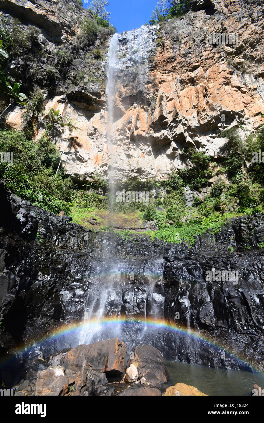 Purling brook falls, Australia Foto de stock