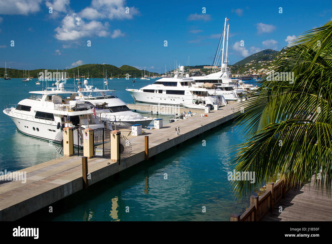 Marina en la bahía Charlotte Amalie, St Thomas, Islas Vírgenes de EE.UU. Foto de stock