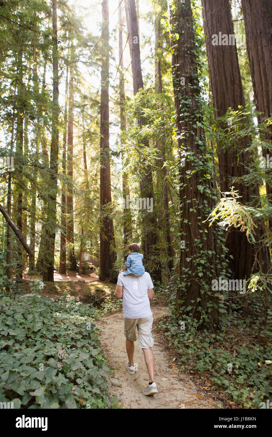 Hijo de padre llevar sobre los hombros el sendero del bosque Foto de stock