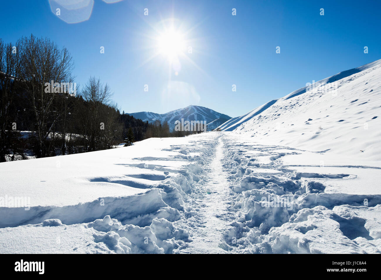 Sendero en la nieve en la montaña soleada Foto de stock
