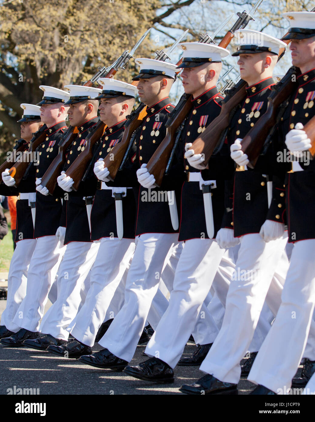 US Marine Corps marchando durante el desfile de la Guardia de Honor - EE.UU. Foto de stock