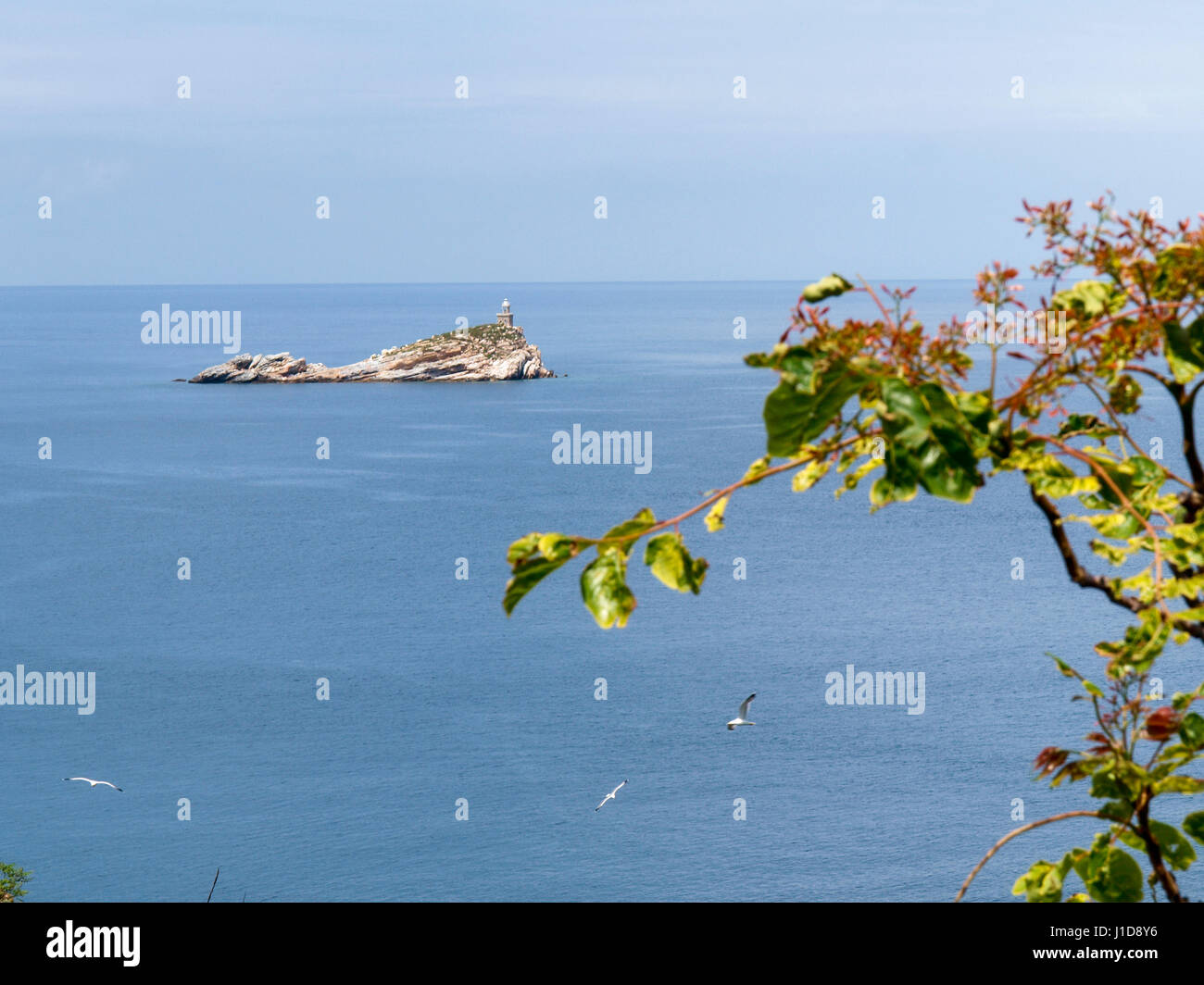 Portoferraio, Italia - Junio 9, 2016: "coglietto di Portoferraio'. La isla, antiguamente llamado Ferraiola está casi desprovisto de vegetación y sobre su parte superior Foto de stock