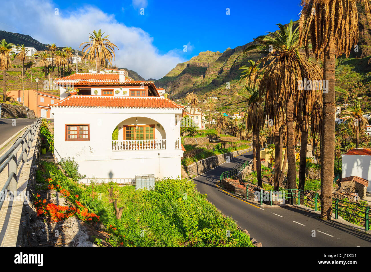 Casas típicas en gran valle poblado en el paisaje tropical de la montaña de la isla de La Gomera, España Foto de stock