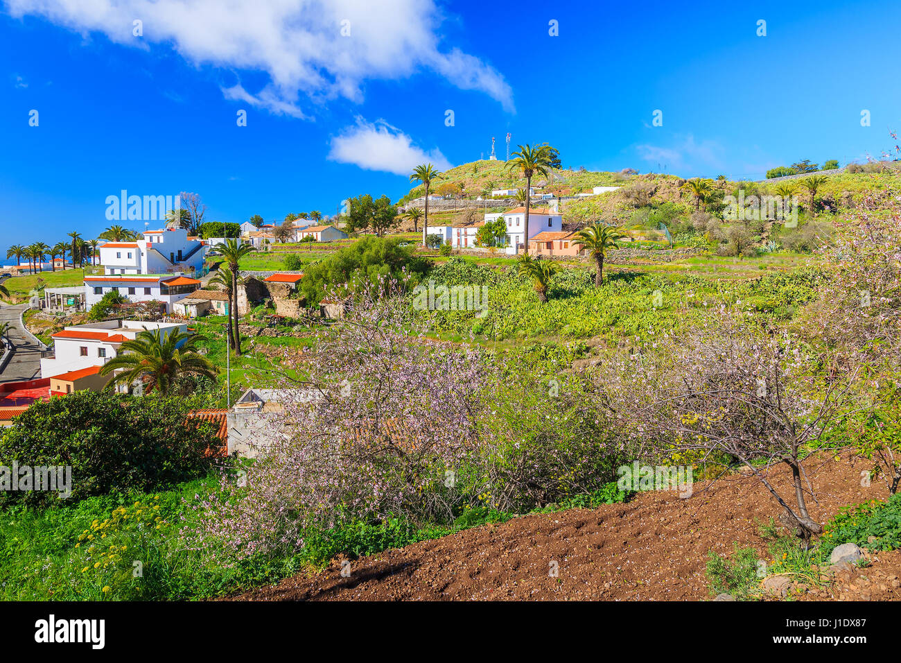 Coloridas casas de pueblo Alojero en primavera paisaje tropical de la montaña de la isla de La Gomera, España Foto de stock
