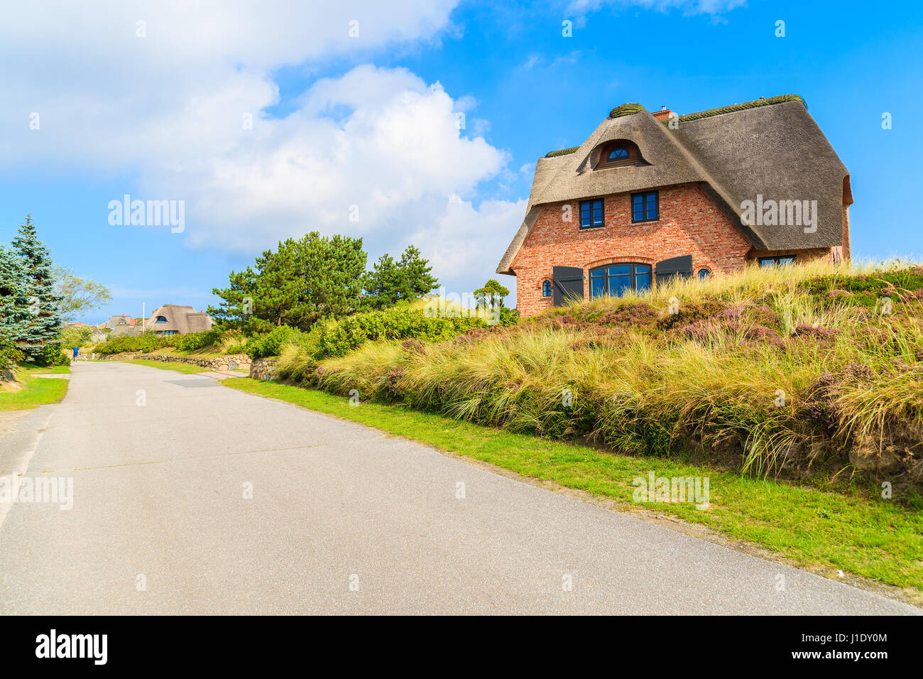Carretera en Westerheide aldea típica casa en el lateral, isla de Sylt, Alemania Foto de stock