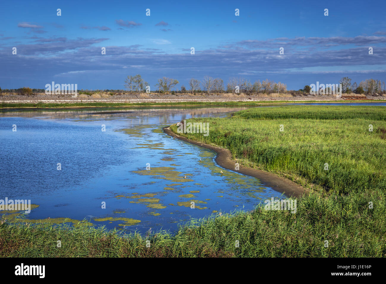 Lago de refrigeración de la central nuclear de Chernobyl en la zona de  alienación, la zona de exclusión de 30 km de radio alrededor del reactor  nuclear en Ucrania ante desastres Fotografía