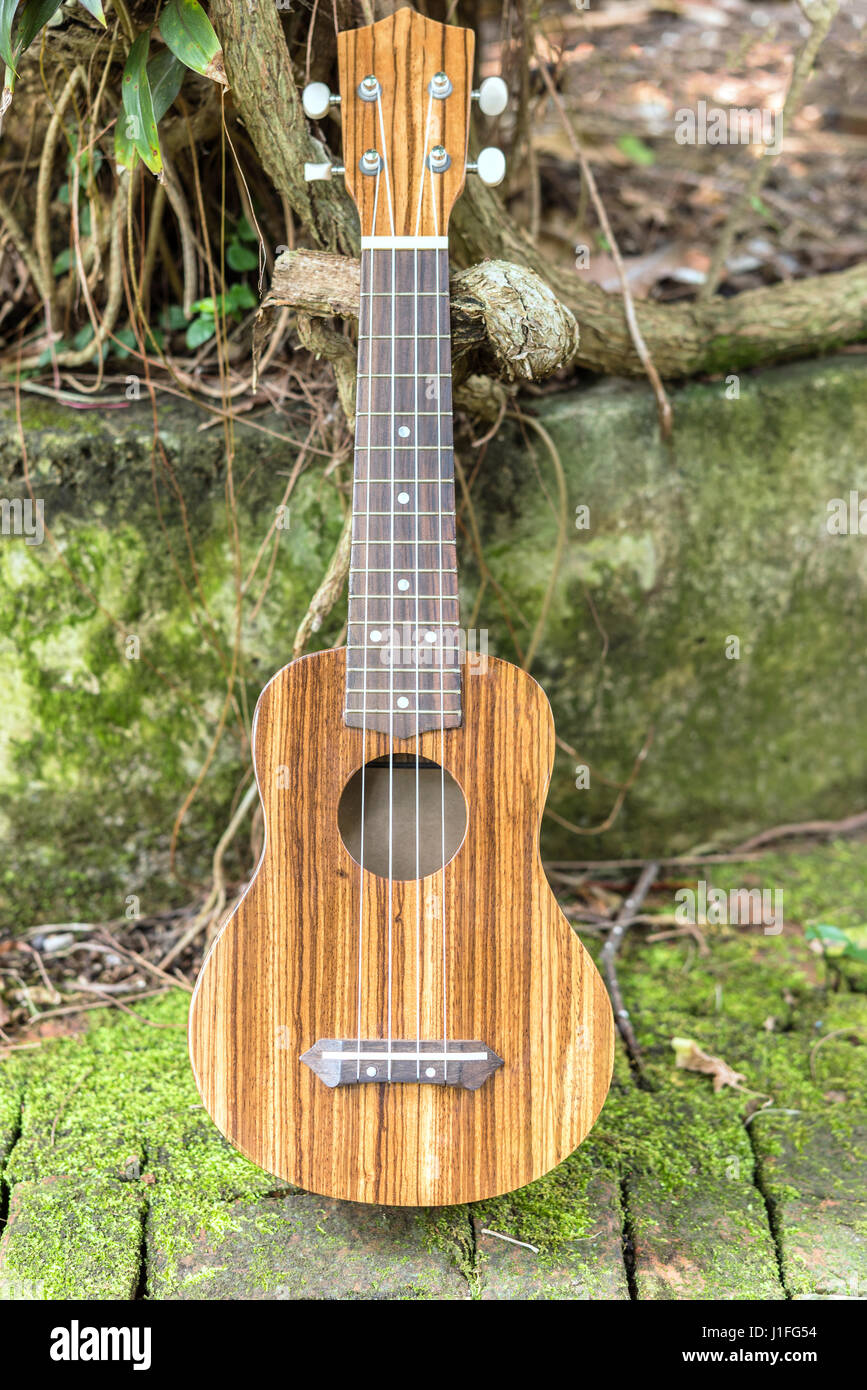 Buscar a tientas Leo un libro micro Pequeña guitarra de cuatro cuerdas de ukulele hawaiano en el jardín.  Instrumento musical acústico en el fondo del jardín Fotografía de stock -  Alamy