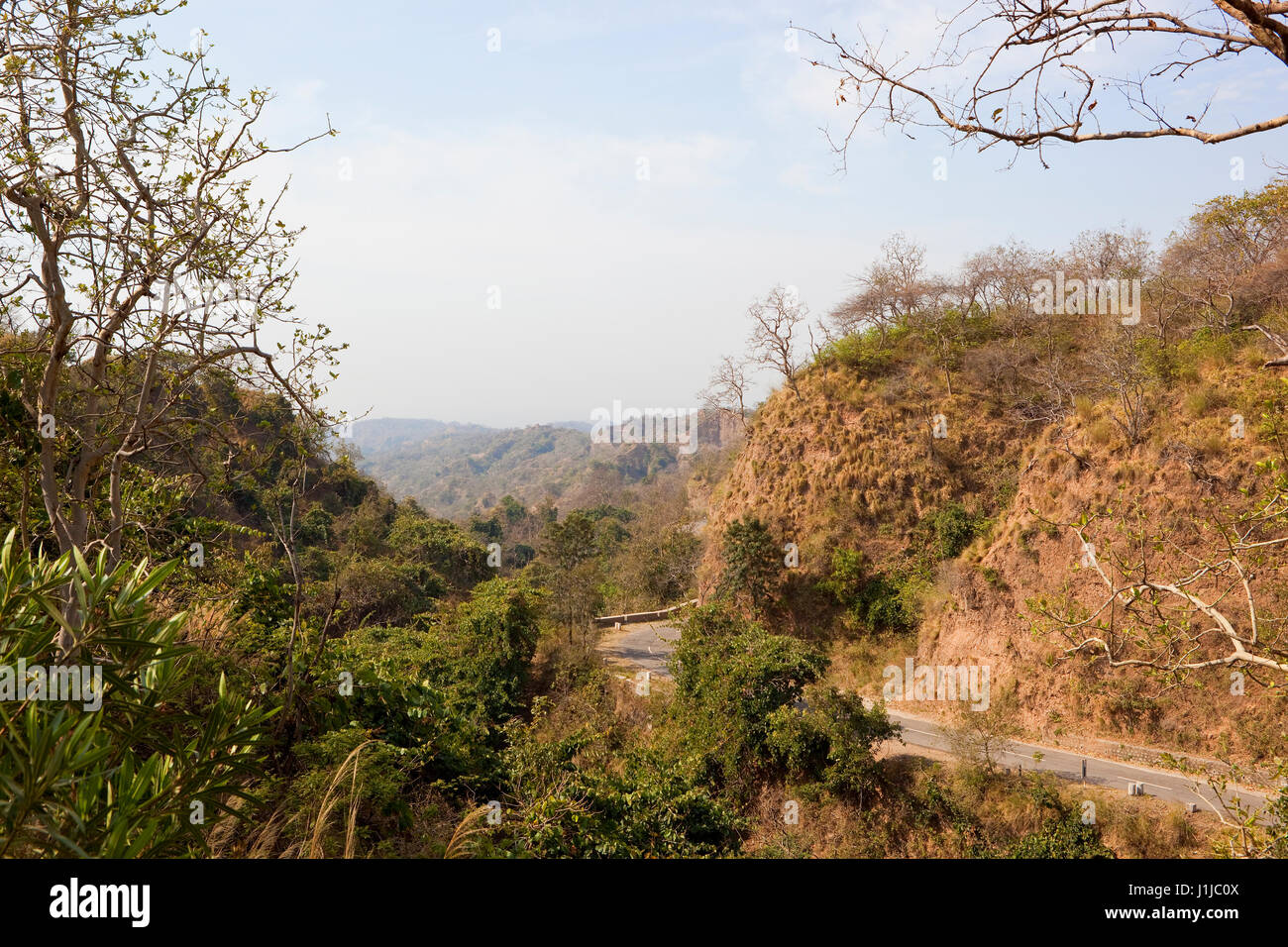 Una carretera de asfalto rural atravesando la reserva natural de las colinas de morni cerca de Chandigarh, en india, con colinas y vegetación bajo un cielo nublado Foto de stock