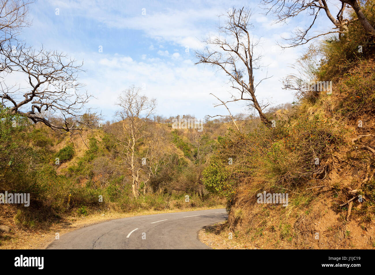 Road y el paisaje de las colinas de morni reserva natural cerca de Chandigarh, en India del norte con colinas de arena y vegetación bajo un cielo nublado azul Foto de stock