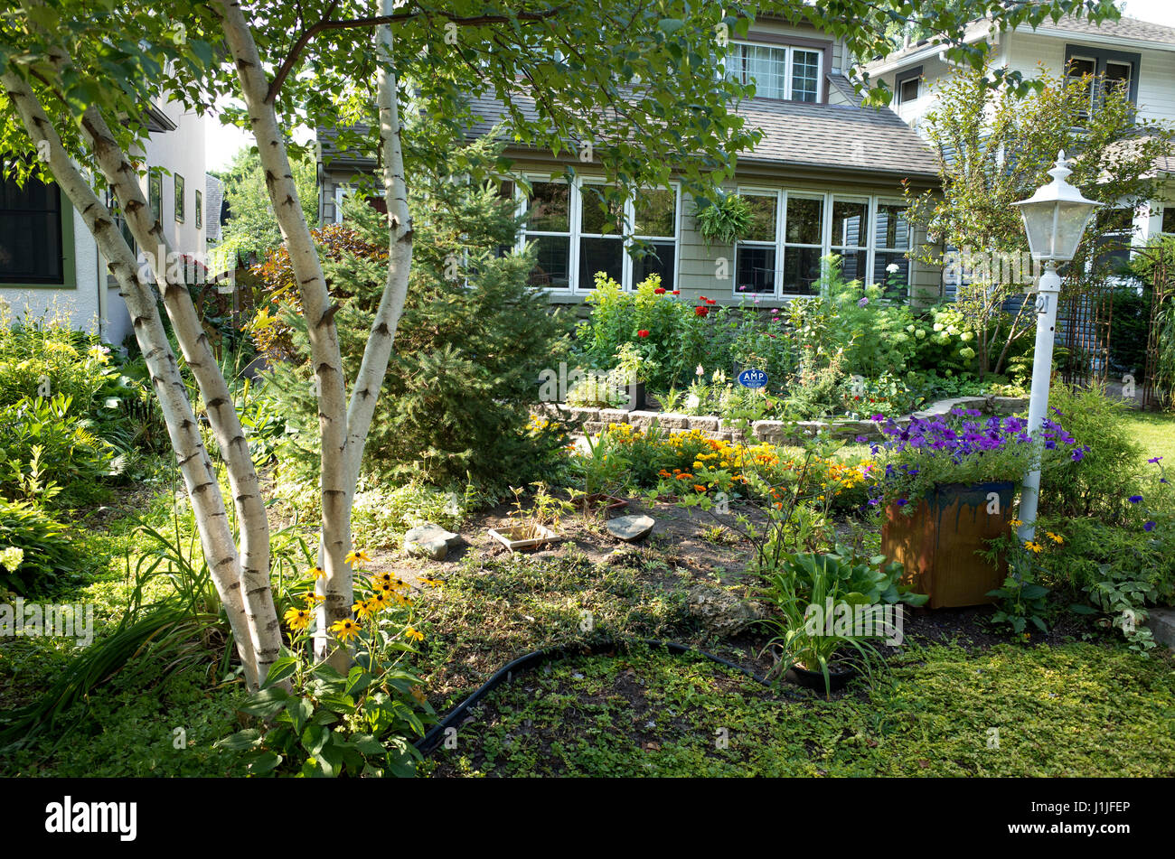 Casa jardín delantero con flores enmarcadas con abedules. St Paul MN Minnesota EE.UU. Foto de stock