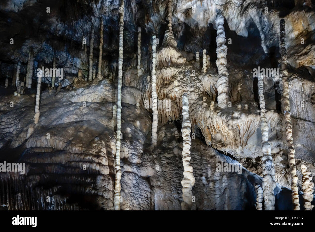 Estalactitas, estalagmitas y columnas en la cueva de piedra caliza de las cuevas de Han-sur-Lesse / Grottes de NAD, Ardenas belgas, Bélgica Foto de stock
