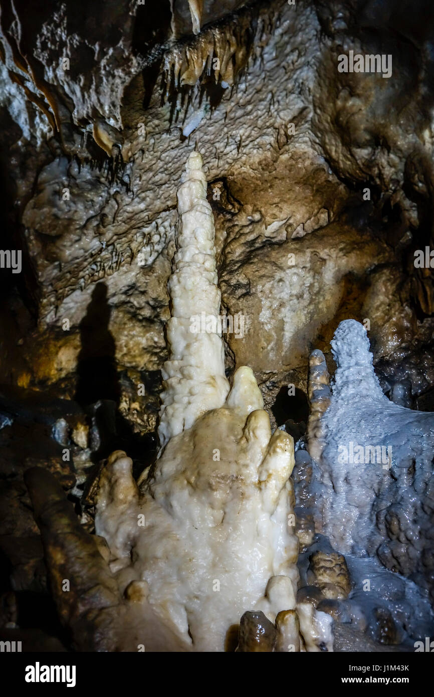 Estalagmitas en cueva de piedra caliza de las cuevas de Han-sur-Lesse / Grottes de NAD, Ardenas belgas, Bélgica Foto de stock