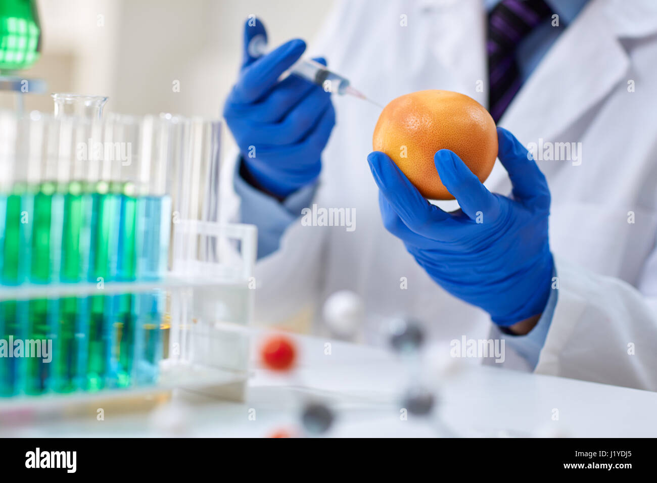 Omg experimento científico inyectando líquido en naranja en el laboratorio de investigación agrícola Foto de stock