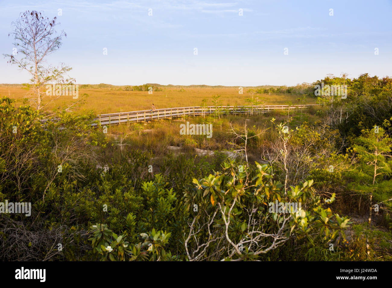 Boardwalk aunque praderas Pa-heno-okee vistas en el Parque Nacional Everglades de Florida Foto de stock