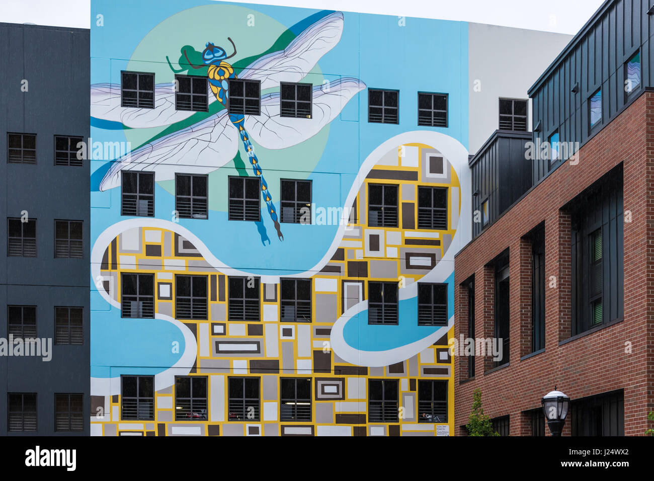 Dragonfly mural en el local de la 14ª en el Midtown de Atlanta, Georgia, EUA. Foto de stock