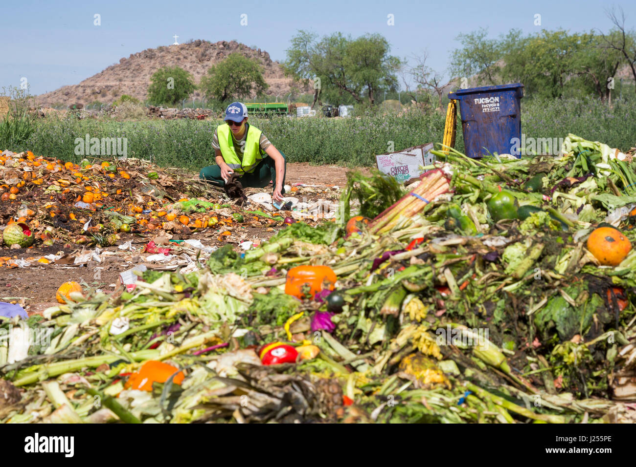 Tucson, Arizona El abono de los gatos, una organización de