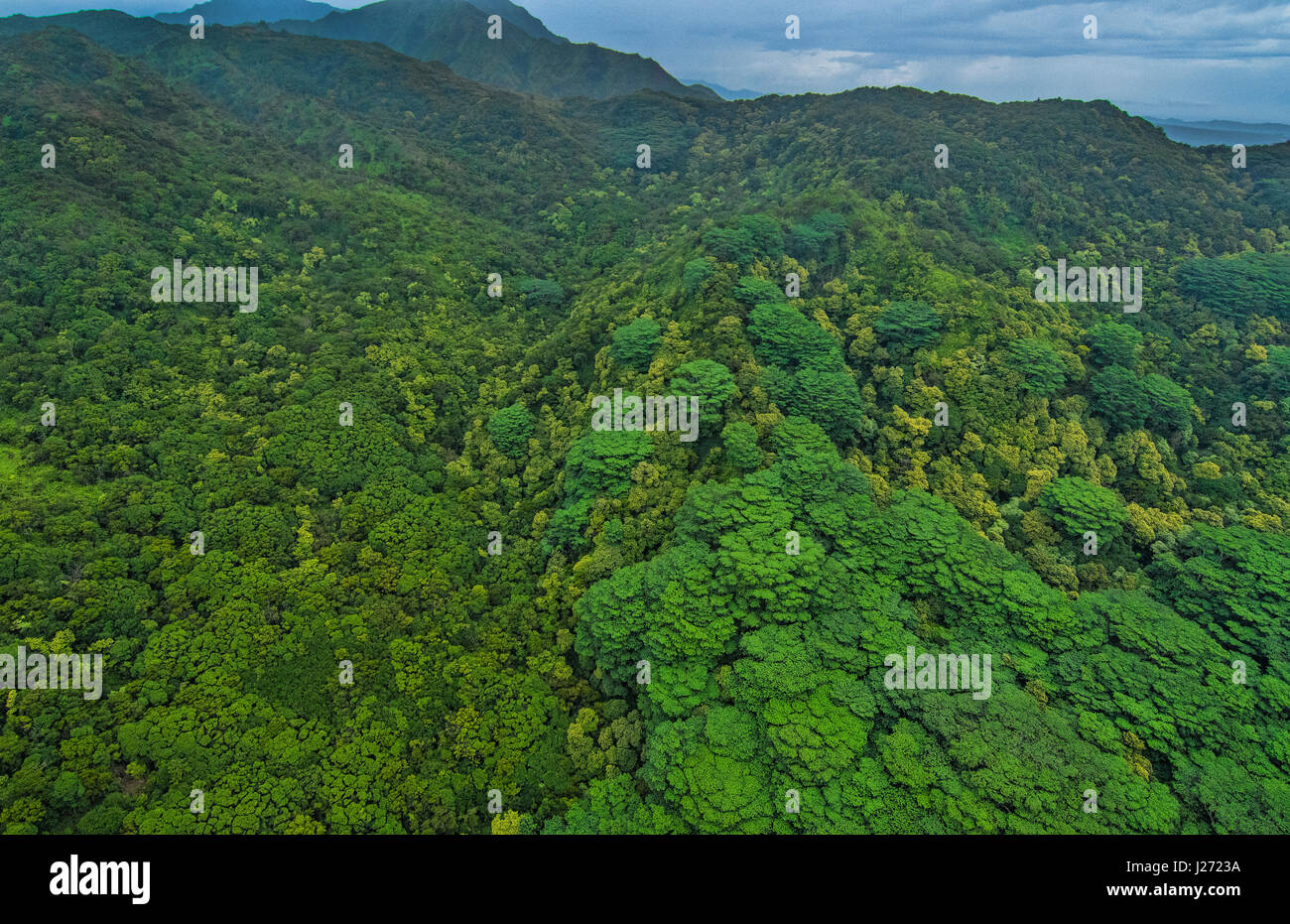En Kauai Hawaii antena de helicóptero de los impresionantes acantilados de la costa de Na Pali cañones Na Reserva Forestal Pali-Kona Foto de stock