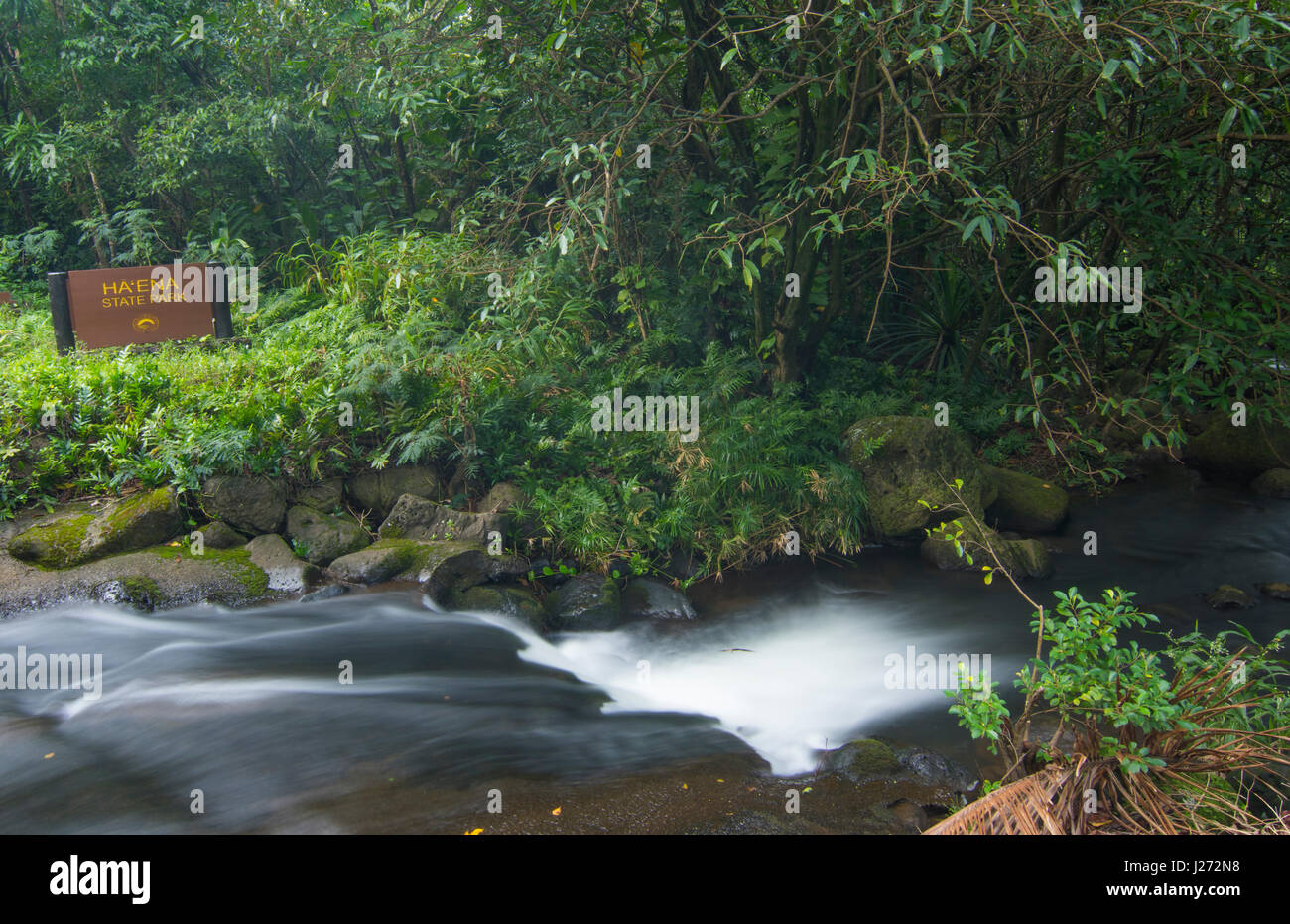Haena Haena Kauai Hawaii State Park cascada arroyo en la orilla norte del bosque lluvioso Foto de stock