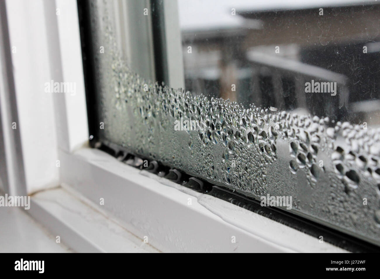 La condensación de agua en windows durante el invierno. Foto de stock