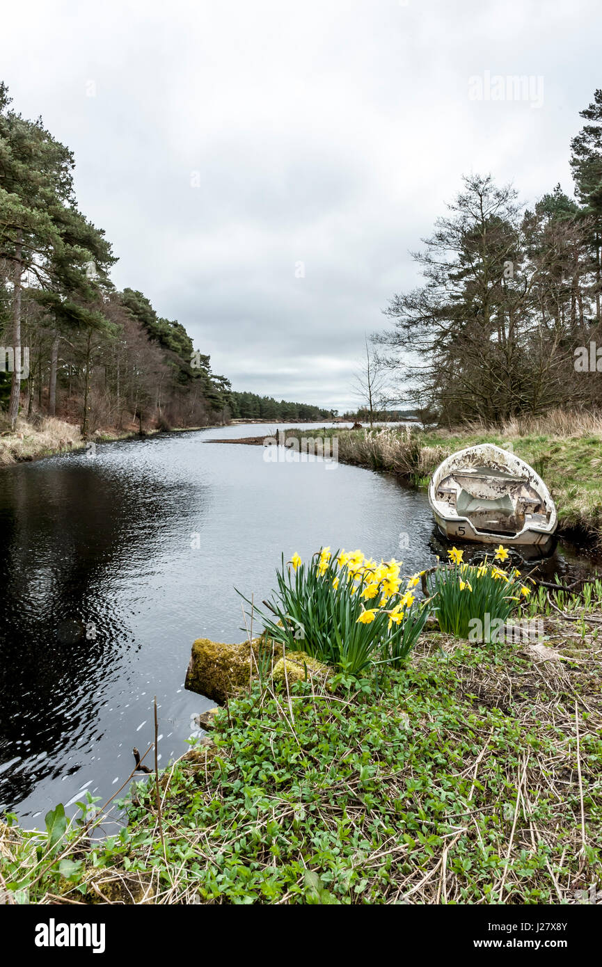 Sweethope Lough, Northumberland Foto de stock