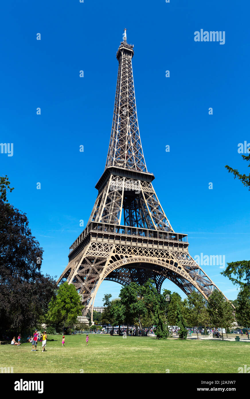 Torre Eiffel (Tour Eiffel) desde el Champ de Mars, París, Francia Foto de stock