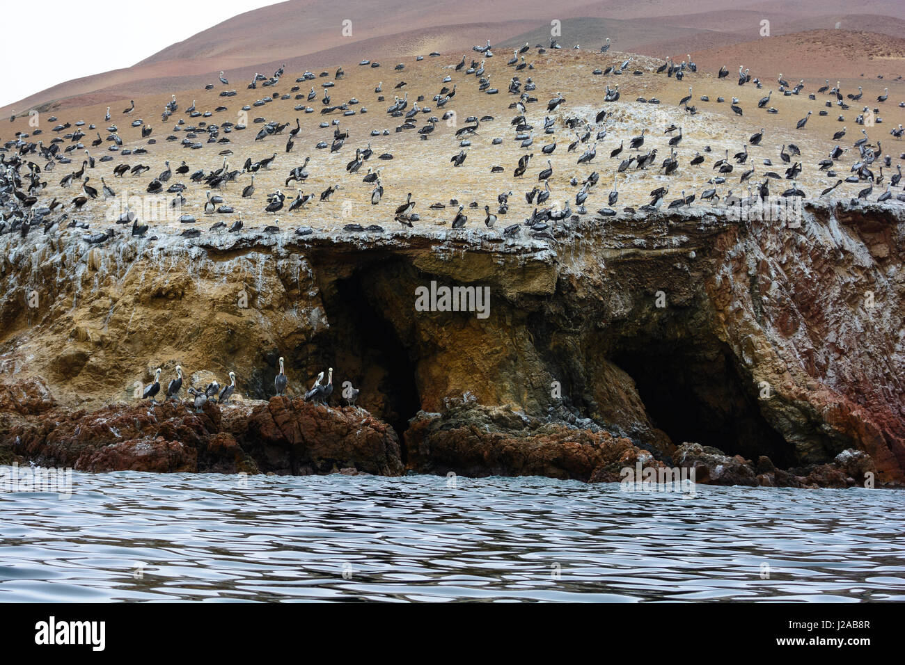 Perú, Ica, Pisco, Las Islas Ballestas son un grupo de pequeñas islas frente  a la costa de Perú. El parque nacional es un caldo de cultivo para aves  marinas Fotografía de stock -