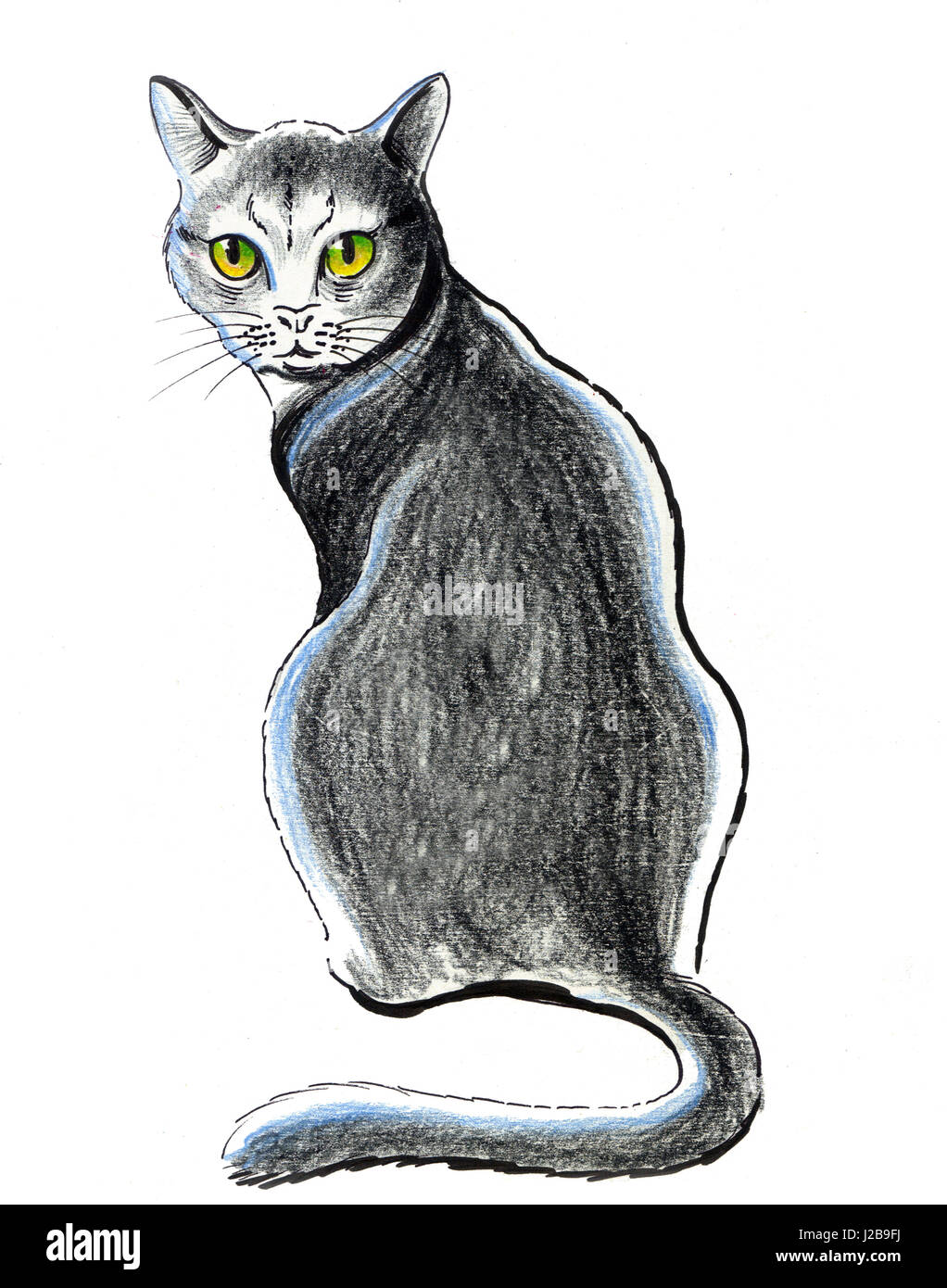 Gato dibujo a lápiz fotografías e imágenes de alta resolución - Alamy Gato dibujo a lápiz fotografías e imágenes de alta resolución - Alamy