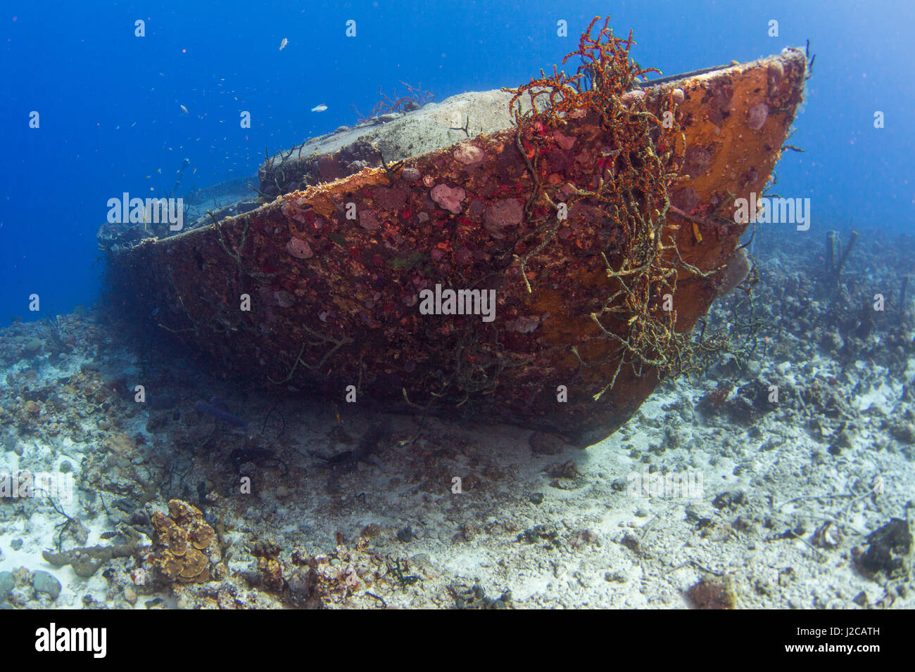 Un naufragio descansa a lo largo de la cornisa de un arrecife de coral en la Bahía de Cochinos, cerca de la ciudad de Playa Girón, Cuba Foto de stock