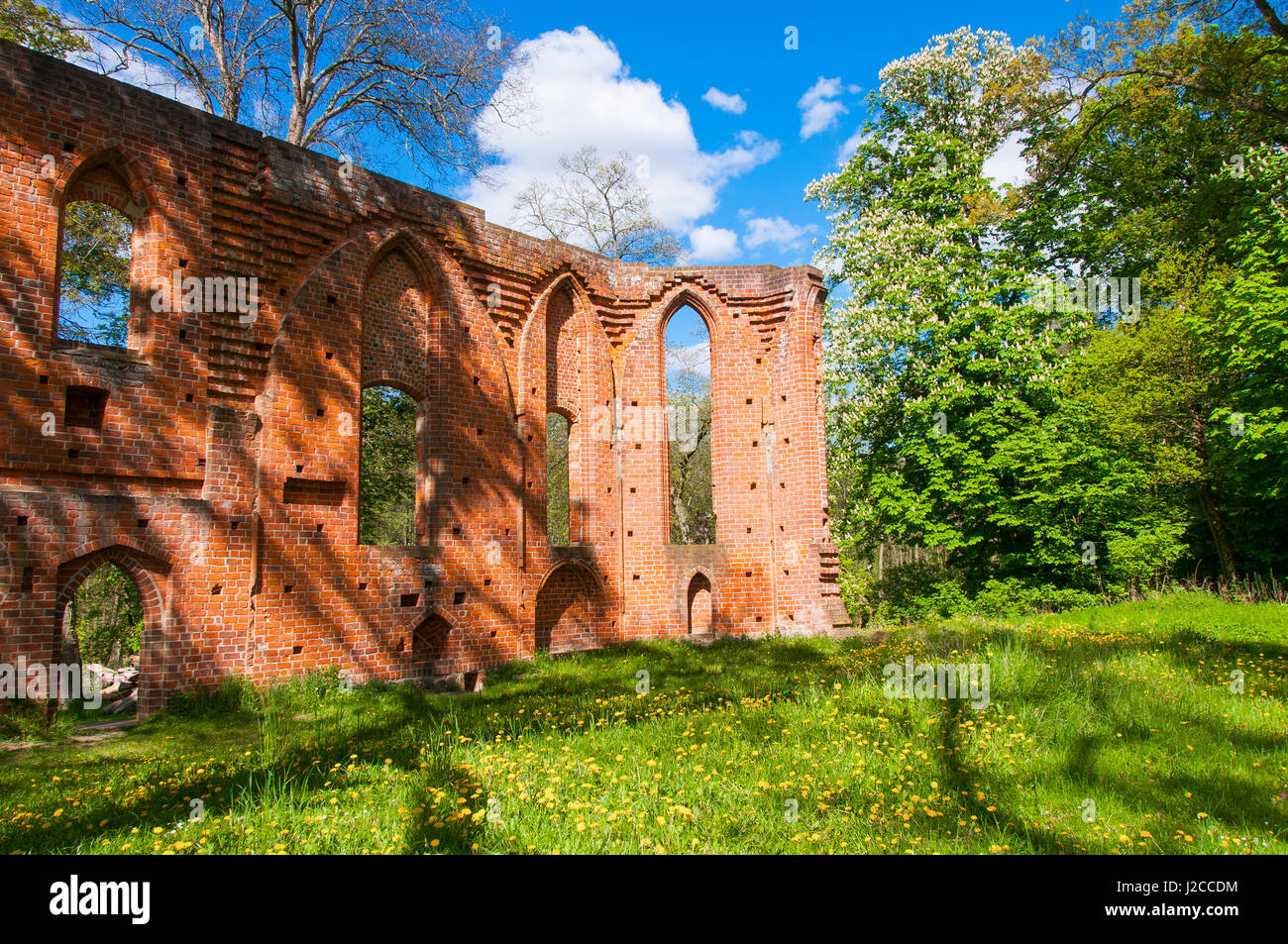Ruinas de un monasterio de Boitzenburger Boitzenburg, tierra, Uckermark, Brandenburgo, Alemania Foto de stock