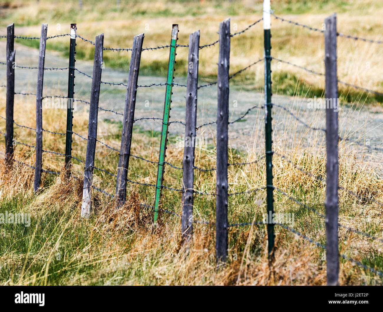 Valla de alambre de espino pastura; Vandaveer Ranch; Salida, Colorado, EE.UU. Foto de stock