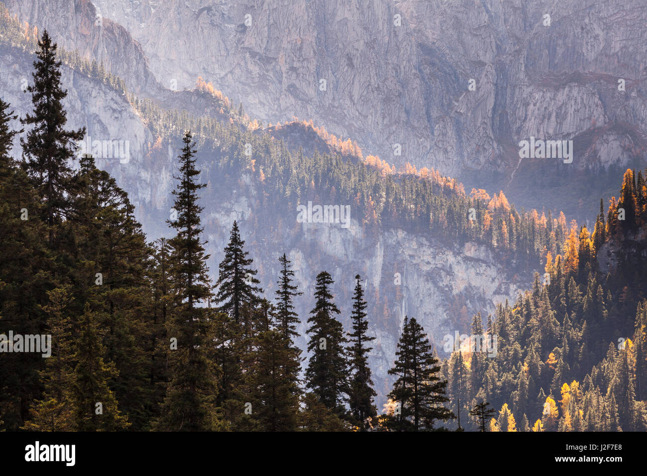 Paisaje con montañas y árboles en otoño Foto de stock
