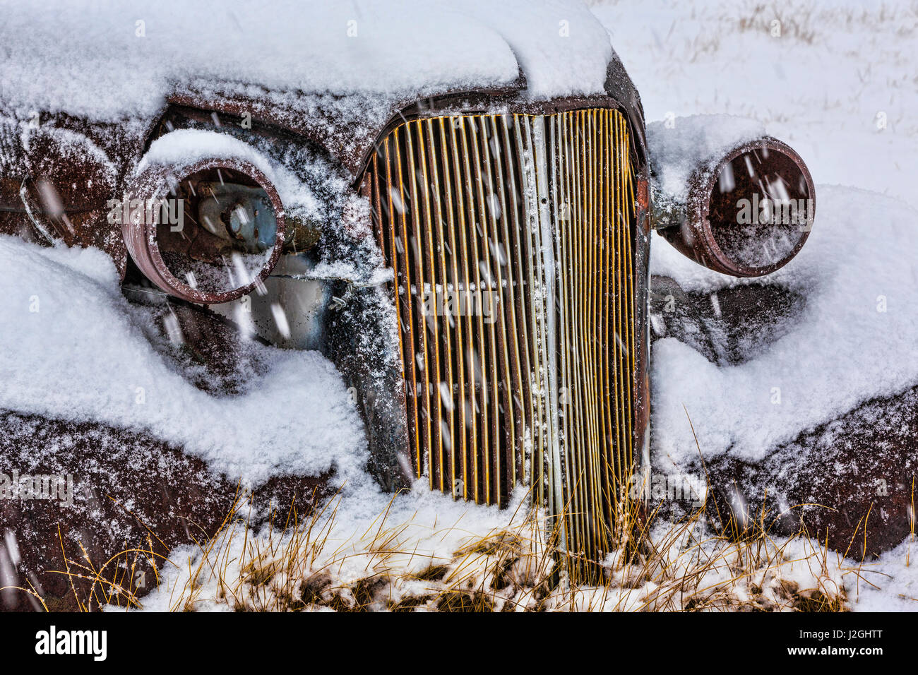 California, Estados Unidos, Bodie. Close-up de automóviles antiguos de cuerpo en la nieve. Crédito: Don Paulson Jaynes / Galería / DanitaDelimont.com Foto de stock