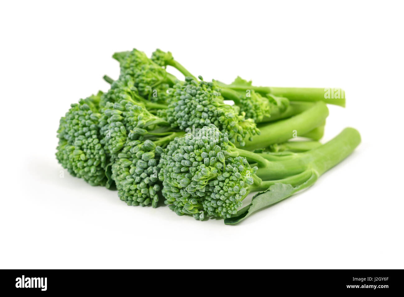 Acercamiento de algunos tallos de broccolini sobre un fondo blanco. Foto de stock