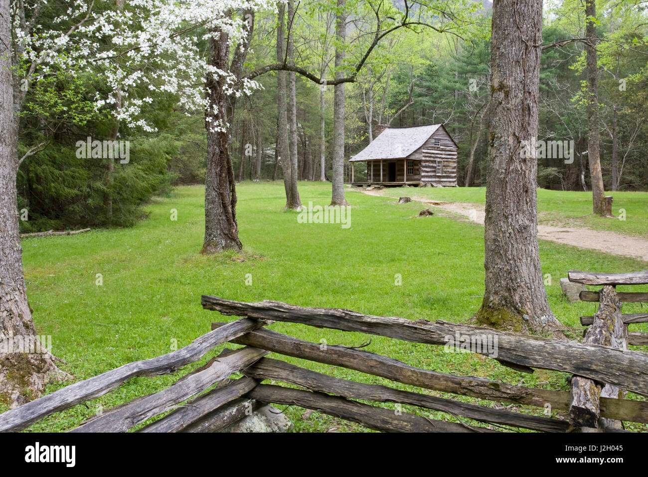 Escudos Carter Cabaña en primavera, área de Cades Cove, Great Smoky Mountains National Park, Tennessee Foto de stock