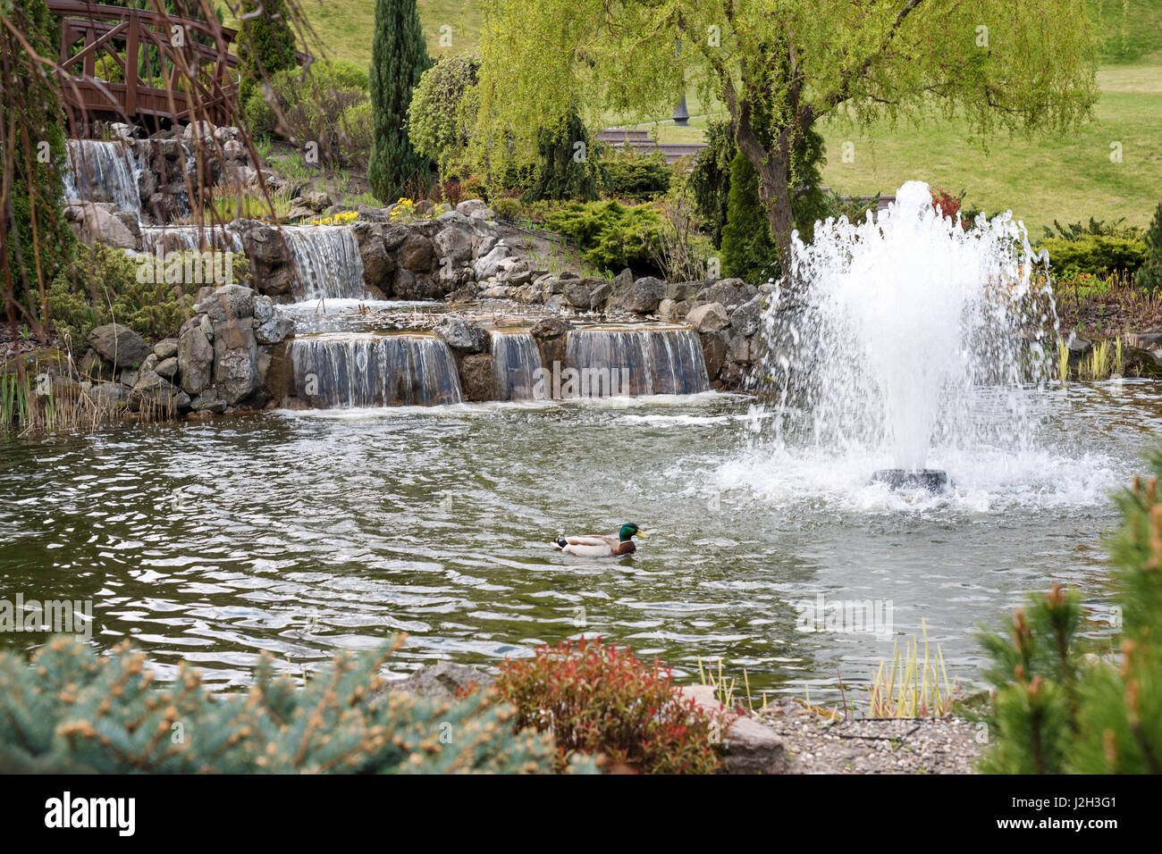 Jardines ornamentales con lago y fuentes y cascada Foto de stock