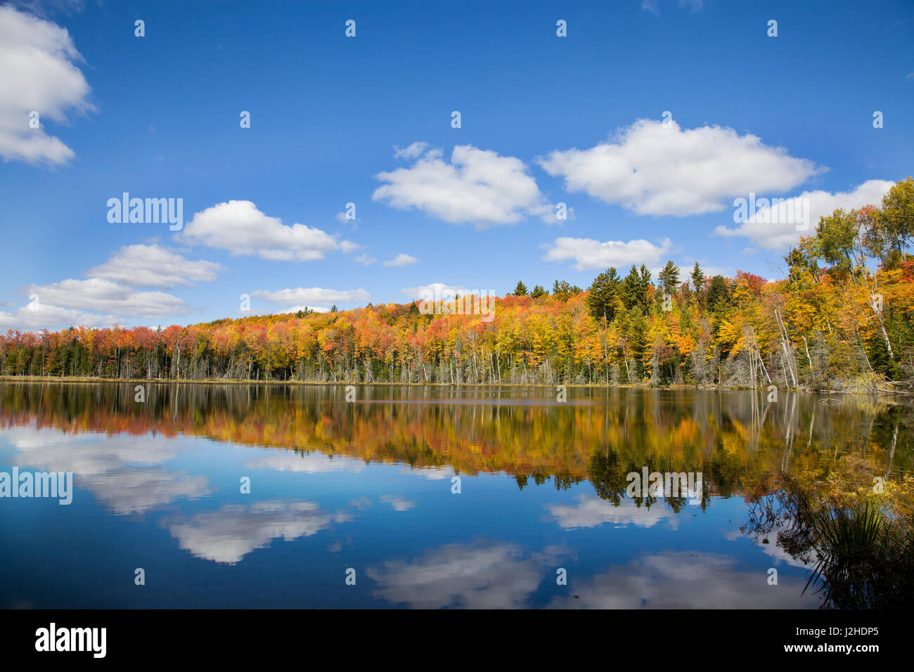 Pete's Lake en color en el otoño Schoolcraft County, en la Península Superior, Michigan Foto de stock