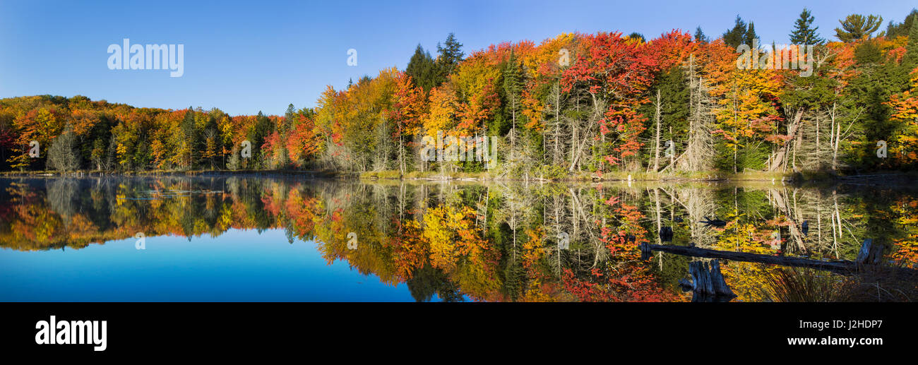 Color en el otoño en el pequeño lago o estanque Alger county en la Península Superior, Michigan (de gran formato tamaños disponibles) Foto de stock